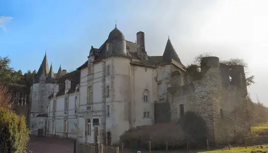 Château 2 pièces 1200 m² 