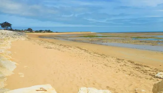 Ile d'Oléron, terrain à vendre  de 700 m², LA BREE LES BAINS (17840) 