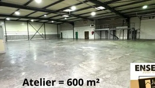 Local 1000 m² Meaux