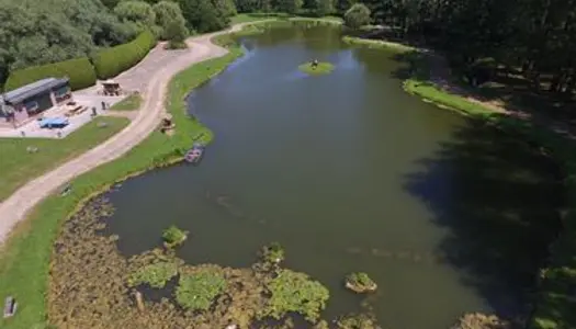 Etang sur grand terrain 