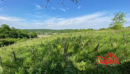 Terrain de loisirs avec parcelle viticole 