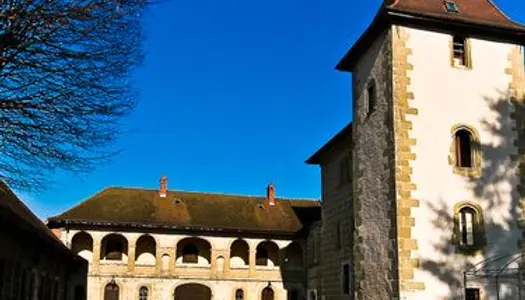 Appartement au chateau proche Annecy 