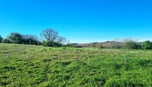 Terrain 1013 m² - Castillon-Savès ( 32490 ) 