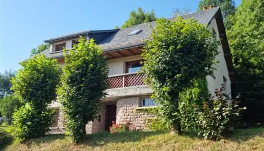 Belle Demeure Au Coeur Des Volcans D'auvergne En France