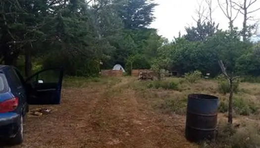 Terrain pour camping 