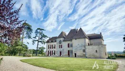 Magnifique Château en Gironde avec son parc arboré et une vu 