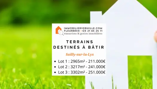 Terrain 2965 m² 