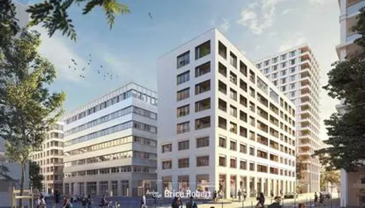 Locaux commerciaux Albizzia - Neufs - Secteur Confluence - Lyon 2ème 