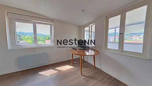 Appartement de deux pieces a vendre a Saverne avec une vue degagee 