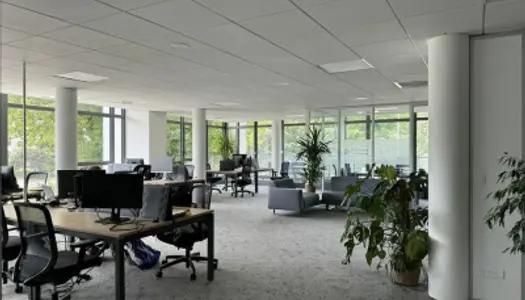 Bureau 283 m² 