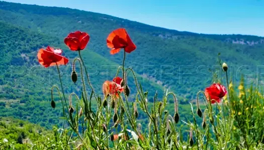 Provence â Ferme Agricole â 130 Ha â Sources â Lacs