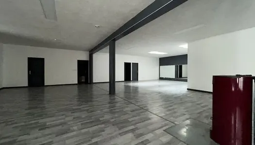 Appartement 6 pièces 255 m² 