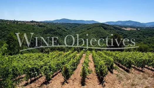 Propriété viticole 130 m² 