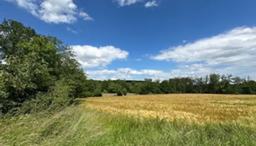 A Saulny terrain agricole de 65 ares à deux pas du village à 