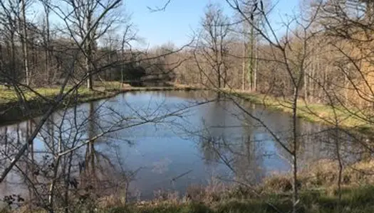 Ensemble de 2 étangs dans parcelle boisée