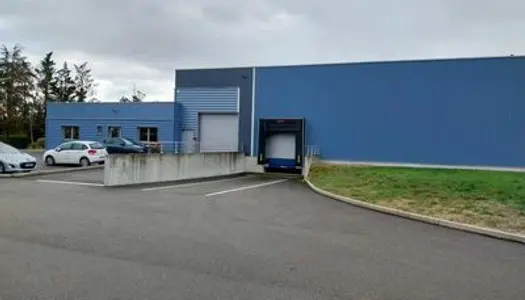 Locaux d'Activités - A VENDRE - 595 m² non divisibles 