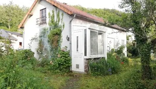 Maison avec jardin et garage 