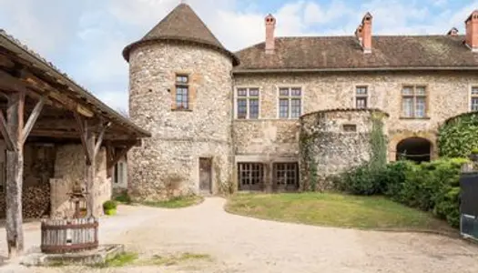 Colocation de Charme dans un Château à Saint-Marcellin