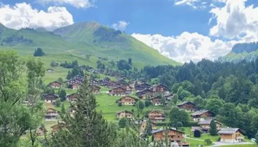 T4 vue dégagée - Le Chinaillon / Le Grand Bornand 