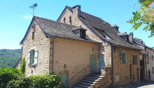 Maison en pierre 11 pièces 336 m² 