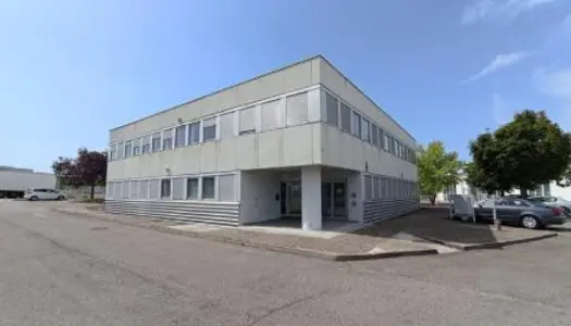 Bureaux 293 m²