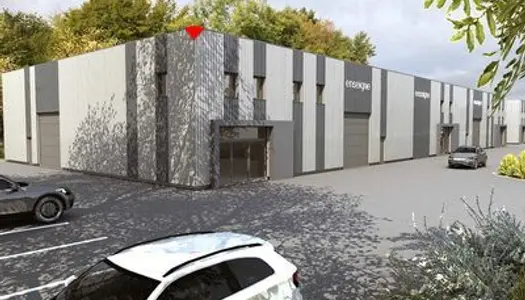 Locaux d'Activités - A VENDRE - 2 987 m² divisibles à partir de 295 m² 