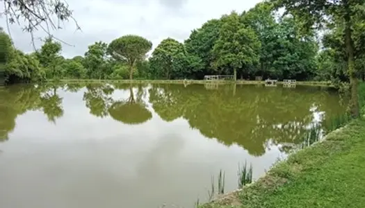 Etang, terrain et forêt de 12 647m² 