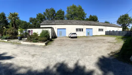 Local commercial 213 m² 