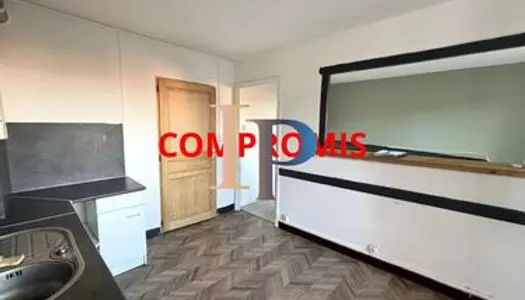 Duplex 3 pièces 53 m² 