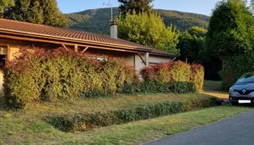 Maison de Ville dans la Tranquille Ville de Saint-Amans-Soult. À Environ une Heure de Route de la 