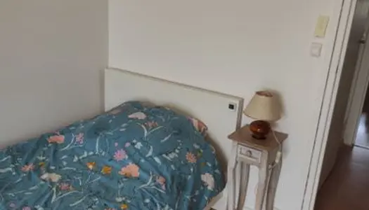 Chambre à louer dans mon appartement 