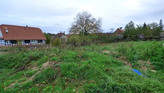 Dpt Bas-Rhin (67), à vendre GOUGENHEIM terrain