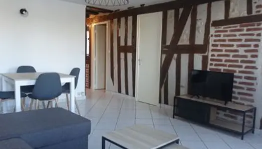 T2 meublé - 39m² - Blois Vienne avec jolie vue 