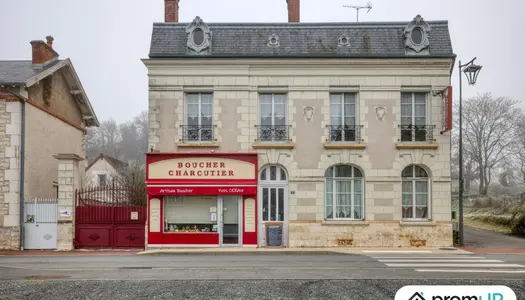 Vente Maison 164 m² à Thesee 310 000 €