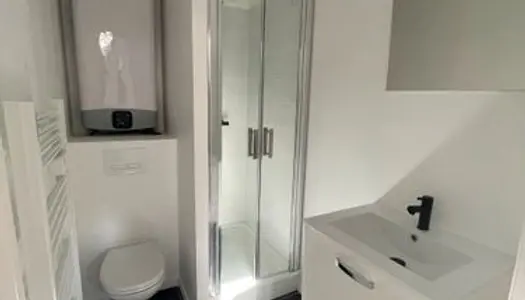 Appartement T2 de 39m2 entièrement rénové 