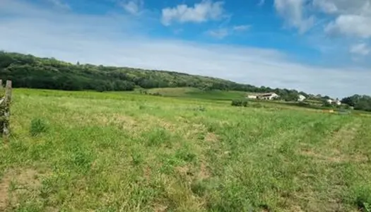 Terrain Vente Chasselas  2342m² 158000€