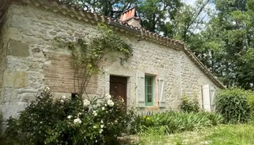 Maison en pierre au coeur du Tarn-et-Garonne : charme et authenticité 