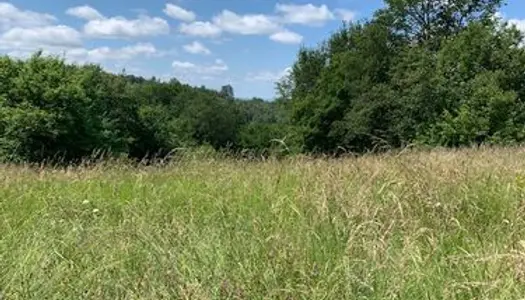 TERRAIN à batir à COSNAC au Puy de L'Hort 