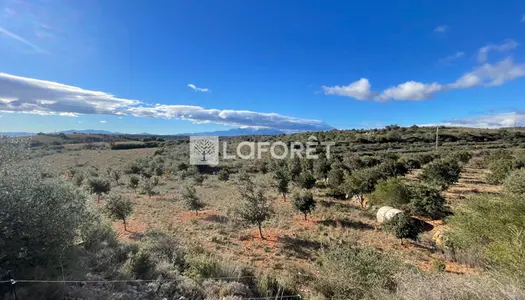 Terrain agricole sur une parcelle de 2 hectares d