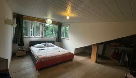 Chambre à louer en colocation