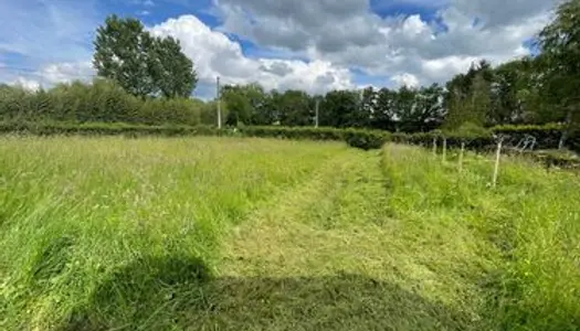 Hangar avec un terrain de 1.455 m² 