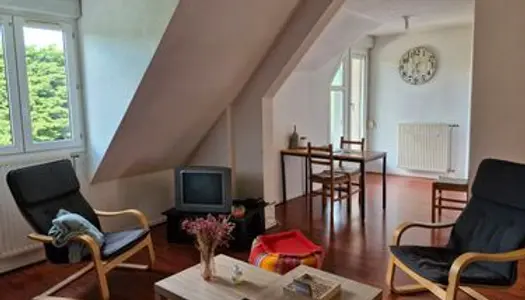 Appartement T3 - Gibauderie - Idéal Fac médécine 