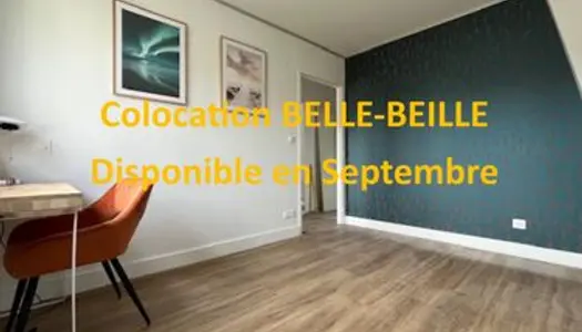 Loue chambre - BELLE-BEILLE 