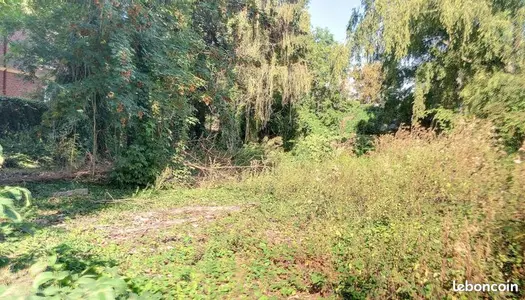 Terrain 3790 m²