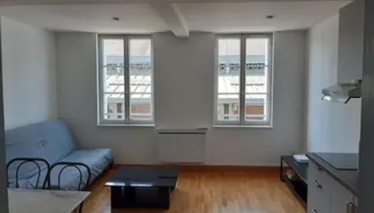 T2 meublé 50 m2 plein coeur de ville dispo mi juillet 