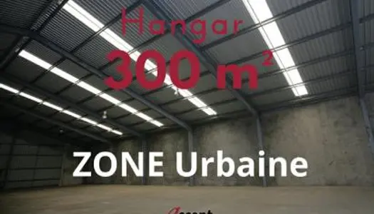 Commerce 300 m² 