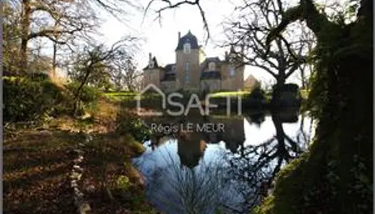 Magnifique Château, activité de chambres d'hôtes