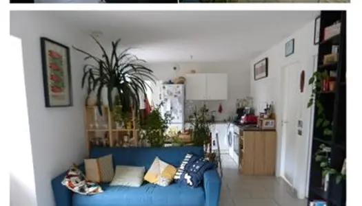 Appartement T3, jardin, terrasse, 570 euros/mois CC