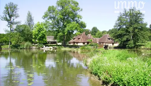 A VENDRE Propriété Gîte et Chambres d'Hôtes 