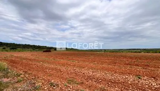 Terrain agricole 7 745 m² Baixas 